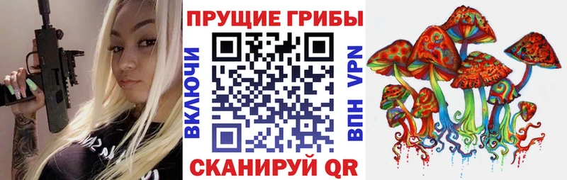 Галлюциногенные грибы Psilocybe  Купить  Жирновск 
